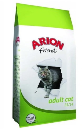arion cat.jpg