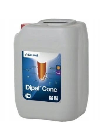 dipal.jpg