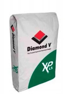 DIAMOND V XP LS   25KG             