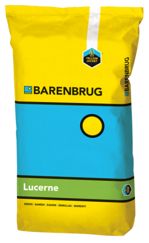 lucerna.png
