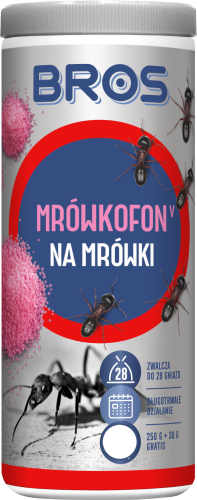 mrówki bros.png