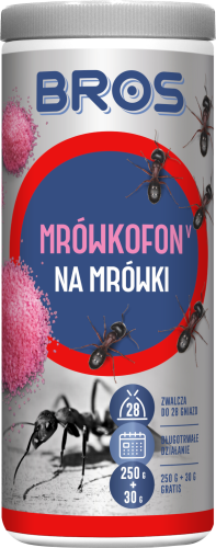 mrówki bros 2.png
