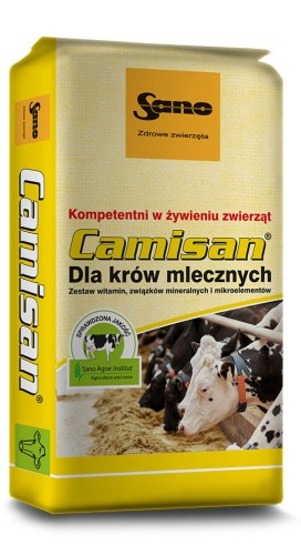 camisan.jpg