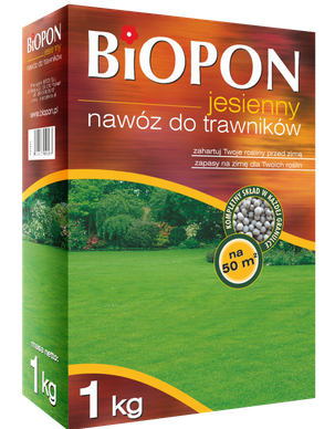 jesienny trawnik.png