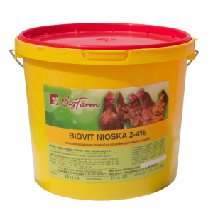 BIGVIT NIOSKA 4KG