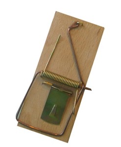 BROS-łapka na myszy drewniana (x100